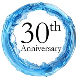 30th anniversary badge